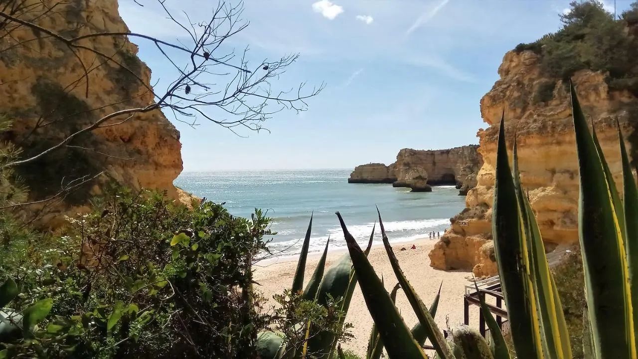 Apartamento O Jardins Da Marina Albufeira